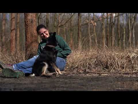 Wierny przyjaciel i prawdziwy mistrz zen, czyli o wyjątkowym Tomku słów kilka