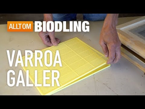 Varroagaller - Biredskap - Bihälsa - Biodling