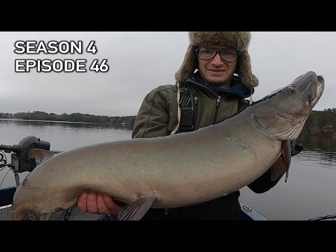 Super-Fat LATE-FALL Muskies on Thanksgiving in Northern Wisconsin! S4.E46