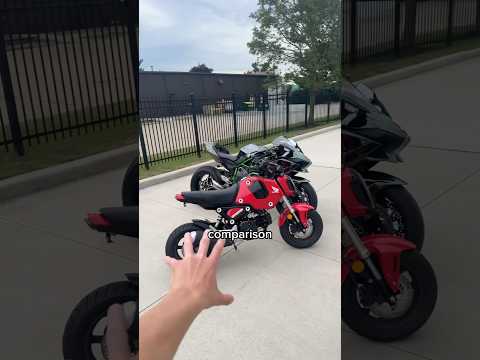 Honda Grom vs Kawasaki H2