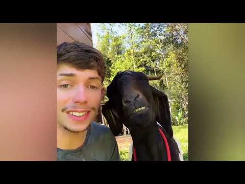 TRY NOT TO LAUNCH 😂🤣 FUNNY Compilation 🤣😂😁 Memes PART  14