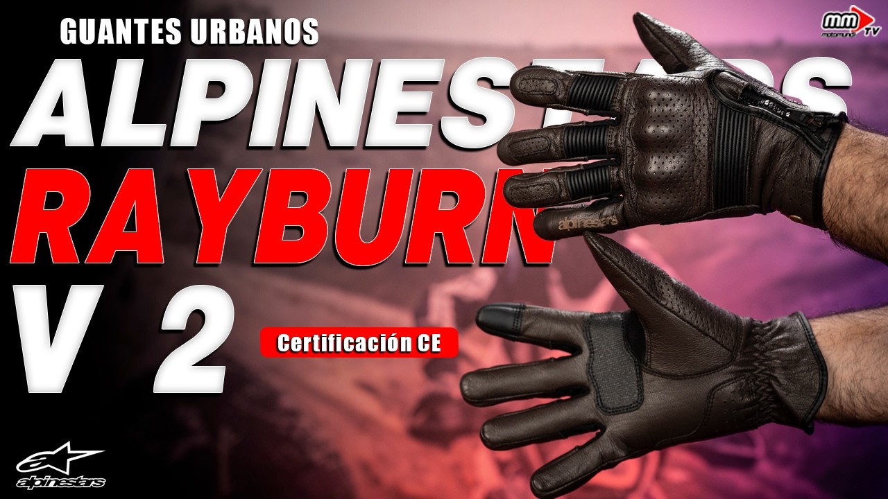 Alpinestars Guante de Cuero Rayburn V2