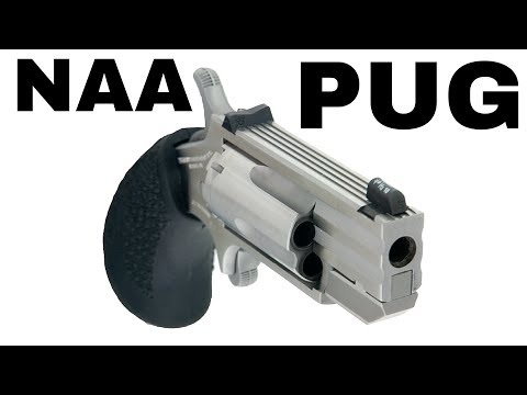 Pug 𝐔𝐆𝐋𝐘! NAA Pug 22 Magnum Pocket Revolver - North American Arms Boot Gun Mini Gun Review Video