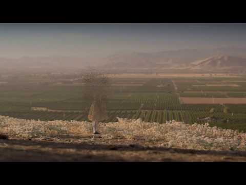USDA - Customer Success Story