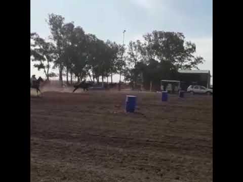 Destreza en Colonia Las pichanas Dario Rinaldi