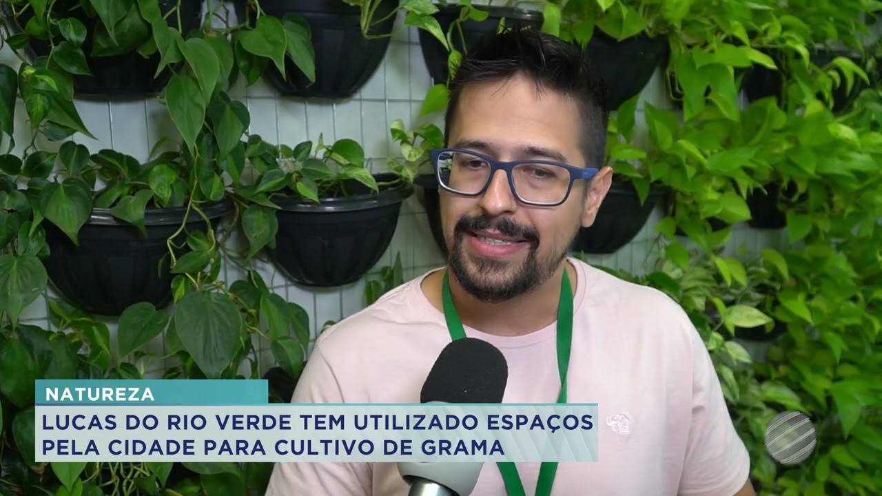 LUCAS DO RIO VERDE TEM UTILIZADO ESPAÇOS PELA CIDADE PARA CULTIVO DE GRAMA
