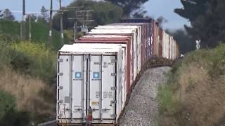 preview picture of video 'Four Locomotives Climb Westmere & Kai Iwi Banks With 526'