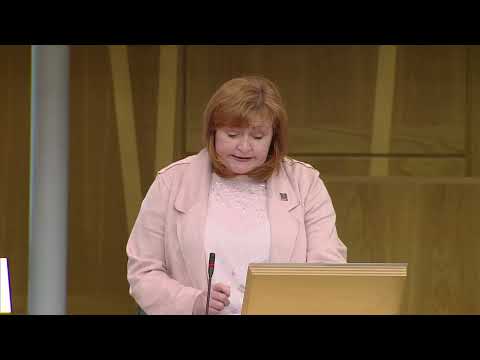 Local Government  Housing and Planning Committee Debate  National Planning Framework 4