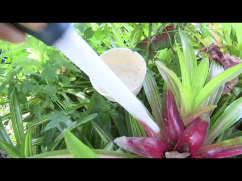 Zika Patrols Increased in Orange County