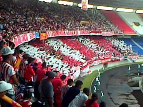 "LA MEJOR BARRA DE COLOMBIA - FRBS - HOY LA BANDA DEL TIBURON" Barra: Frente Rojiblanco Sur • Club: Junior de Barranquilla