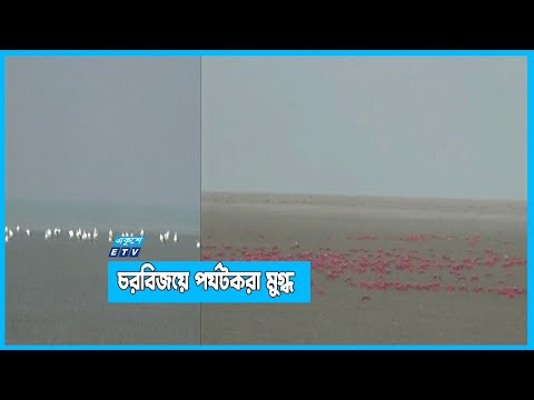 জেলেদের হাইরেরচর এখন চরবিজয়