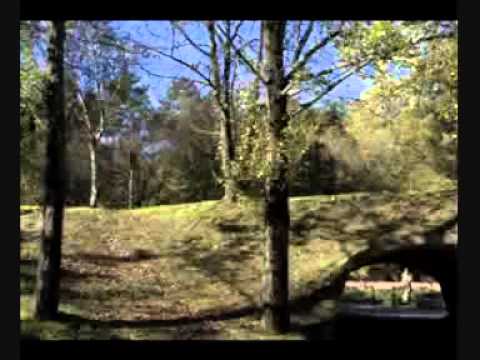 Itiner&aacute;rio Matosinhos-Le&ccedil;a Palmeira