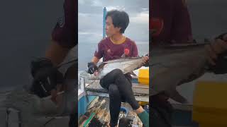 Download lagu Full Senyum manis!!!Strike Monster#shorts mp3