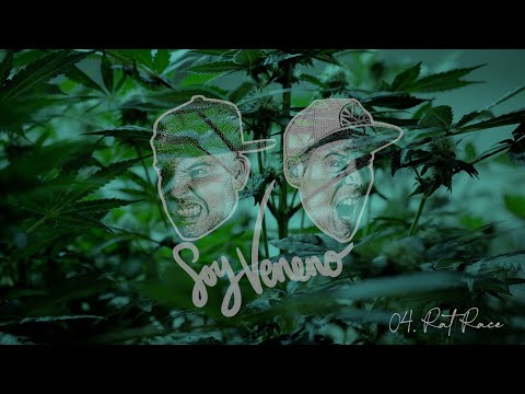 Stereoman x Fernikhan -Soy Veneno- (Full E.P. Visualizer)