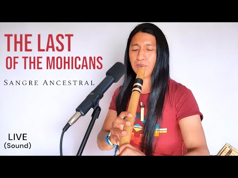 The Last of the Mohicans | Sangre Ancestral Live Session | Native American Music | Flute #subscribe