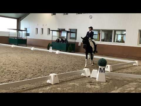 Classic Deluxe (Cadeau Noir x Blickpunkt), Dressurturnier Vechta 02-2023