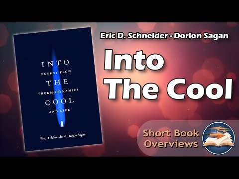 "Into The Cool" - Eric D. Schneider and Dorion Sagan