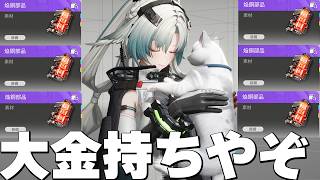 これが最高効率【エンドフィールド】