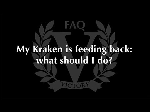 Victory Amplifiers FAQ – My VX The Kraken Is Feeding Back: What Do I Do?