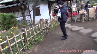 preview picture of video 'Japan Trip 2013 Tokyo Autumn leaves Maple in Rikugien Garden 1363'