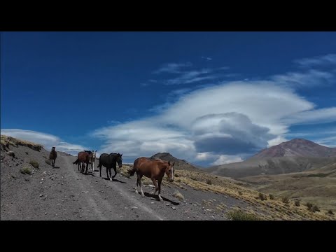 R 68 .  De Varvarco a Tricao Malal