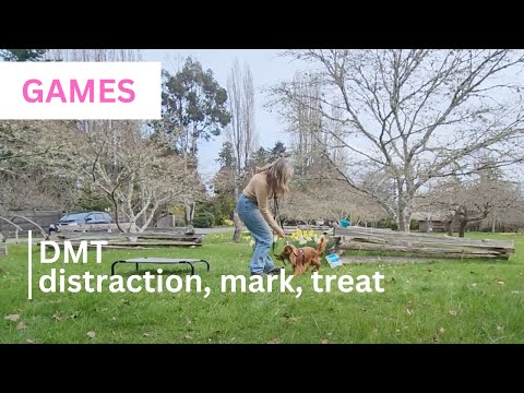 DMT — Distraction, Mark, Treat (Look At That)