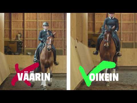 Ratsaille: taivutus 8/8