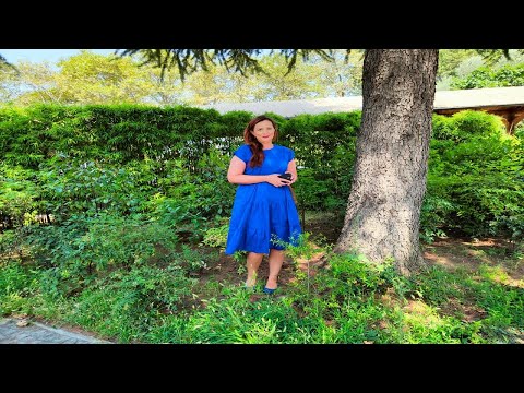 Vitrina e librit/ “Varka e pestë”, një roman frymëzuar nga ngjarje të vërteta