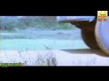 Krushna Kaberi 1999 Superhit Odia Movie SIDDHANTA MAHAPATRA MIHIR DAS Adite Creations