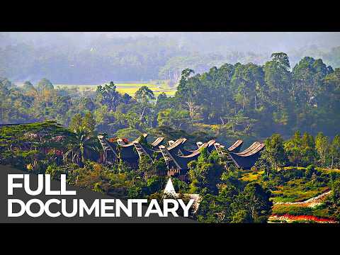 Houses of the Dead: Habitats of the World - Indonesia