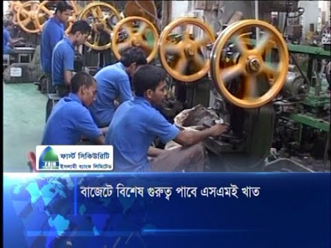 বাজেটে বিশেষ গুরুত্ব পাবে এসএমই খাত