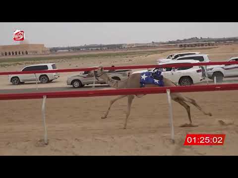  ش 1 (طرح) لـ محمد سليمان بن مصبح الكتبي 2:02 , شارة الصندوق 2026/04/04 فطامين سويحان