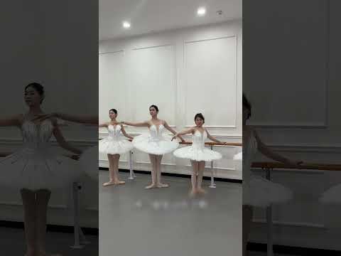 I'm Trying to Be a Dancer for a Day.