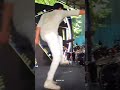 DADA Shorts Dhruvvikram6191 Mahaan Dhruvlove