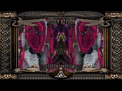 HITECH AZYLUM (live) by futuremusick (158-202 BPM) #darkhitech  #hitech