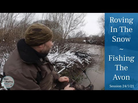 Small River Roving In The Snow - Fishing The Avon - 24/1/21 (Video 210)