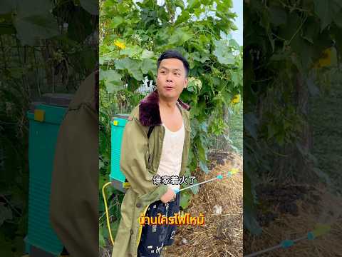 เรื่องกลายเป็นแบบนี้ได้อย่างไร