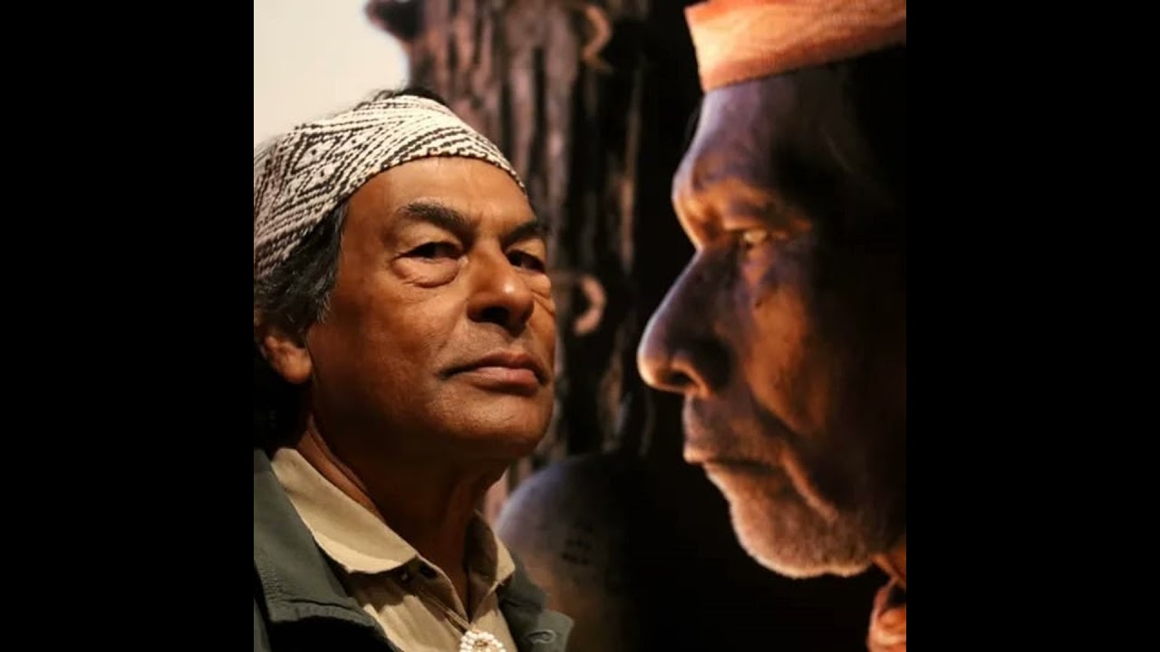 Ailton Krenak: ‘Acabou o céu azul, a gente conseguiu cobrir o país com fuligem’