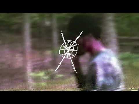 Shark Breach - Condone