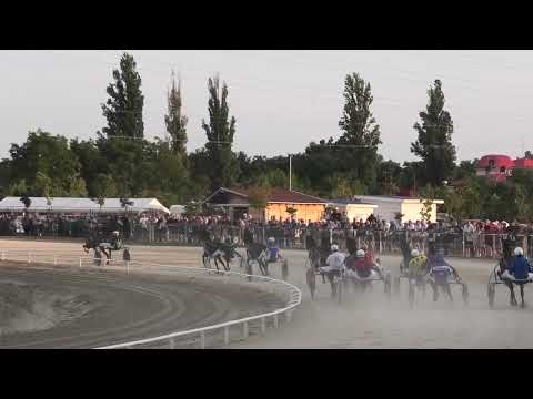 Trka "95. SRPSKI KASAČKI DERBY" 14.8.2022. Tekila - Branislav Mukić