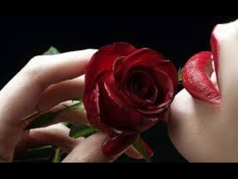 𝗤𝗨𝗘𝗖𝗢 ✶ 𝗦𝗘Ñ𝗢𝗥𝗔