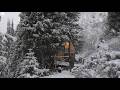 This Forest Cabin Saved My Life | Blizzard & Wild Animal Encounter