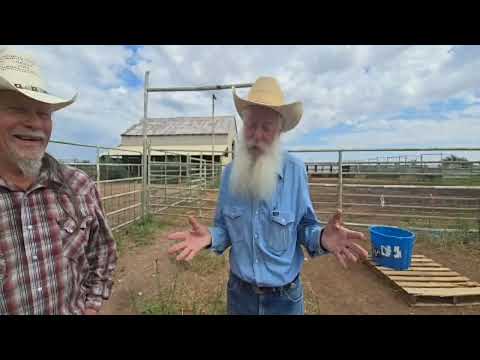 47 Killer Bees [Livestream Replay]