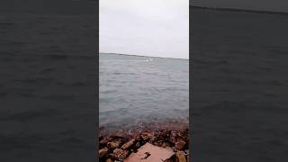 Download lagu யாரும் இல்லாத தீவு mp3