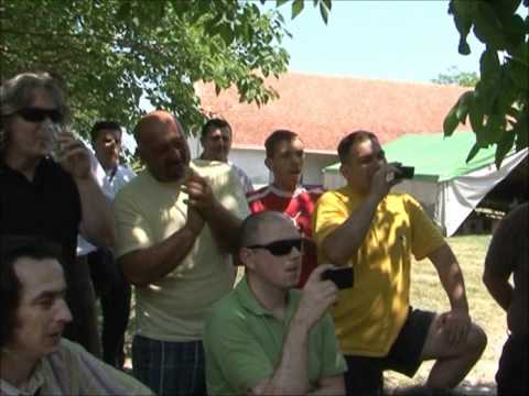 Zvonko Bogdan - Danas nije moja nedelja