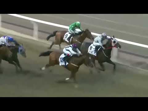 Siste 600 m Svenskt Derby 2016