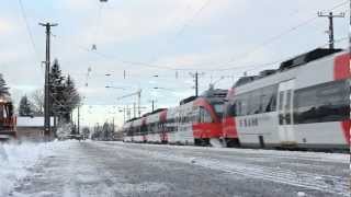 preview picture of video 'Bahnhof Dornbirn | ÖBB 4024 und ÖBB 1016'