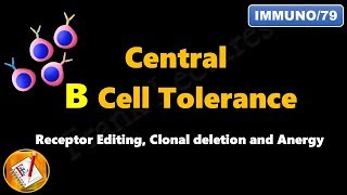 Central B cell Tolerance : Receptor Editing, Clonal Deletion and Anergy