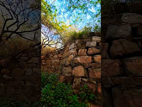 Qila Rai Pithora — Delhi Ka Pehla Qila | Forgotten Rajput Capital 🔥