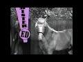 Nick At Nite Promo Mr Ed His Secret Wish